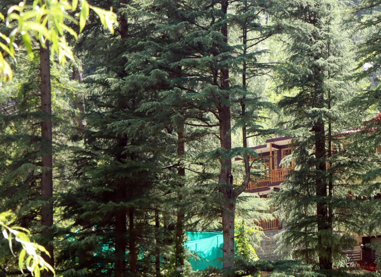 Apartamento The Himalayan Heaven Jibhi Exterior foto